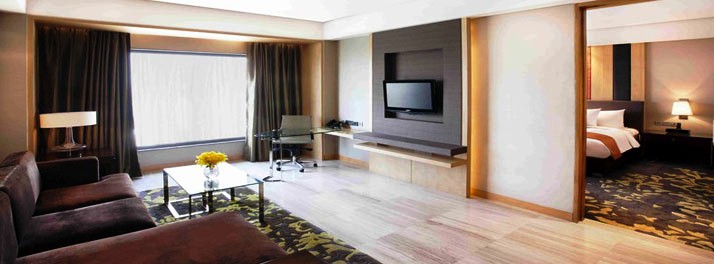 648/Holiday Inn New Delhi Mayur Vihar - New Delhi 12.jpg